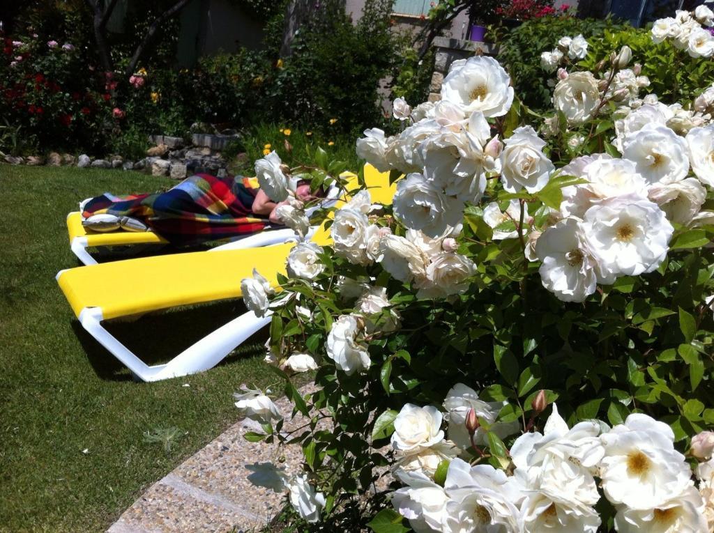 Le Grand Jardin Bed & Breakfast Lafare Ngoại thất bức ảnh